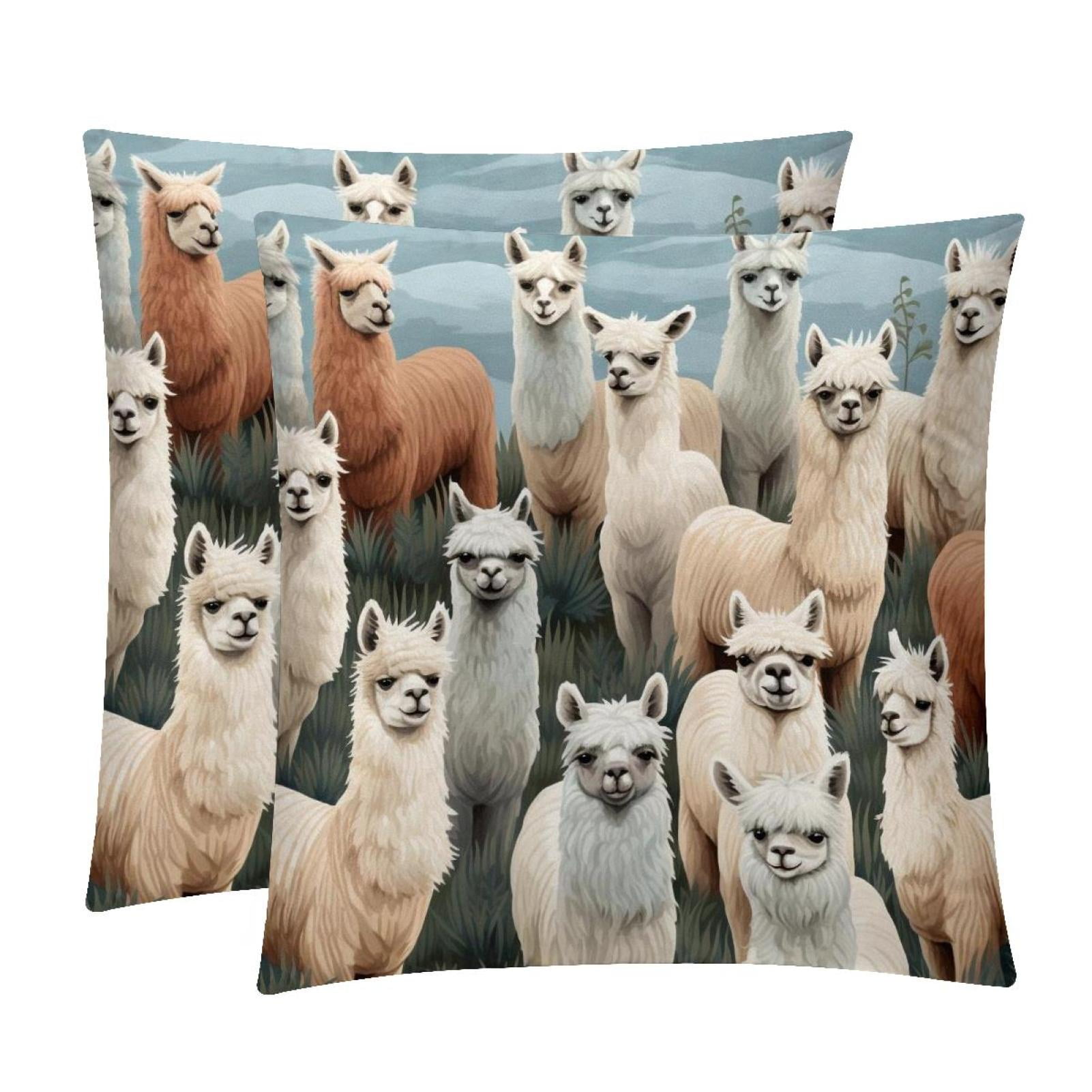 2Pack Velvet Throw Pillow Covers with Unique Patterns 16x16, 18x18