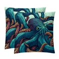 2Pack Velvet Throw Pillow Covers with Unique Patterns 16x16, 18x18