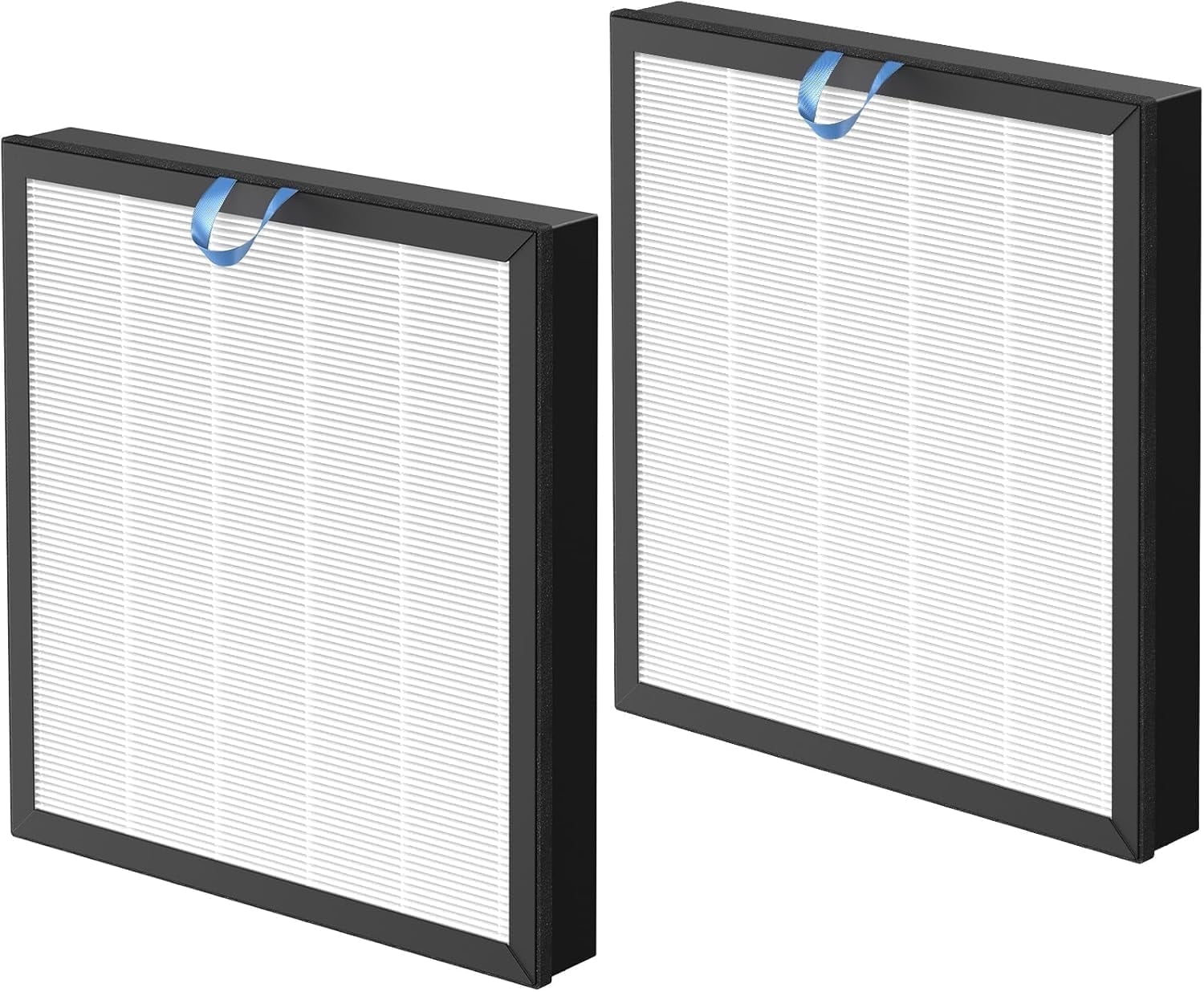 Isingoione 2 Pack Vital 100S True HEPA Filter with Activated Carbon for ...
