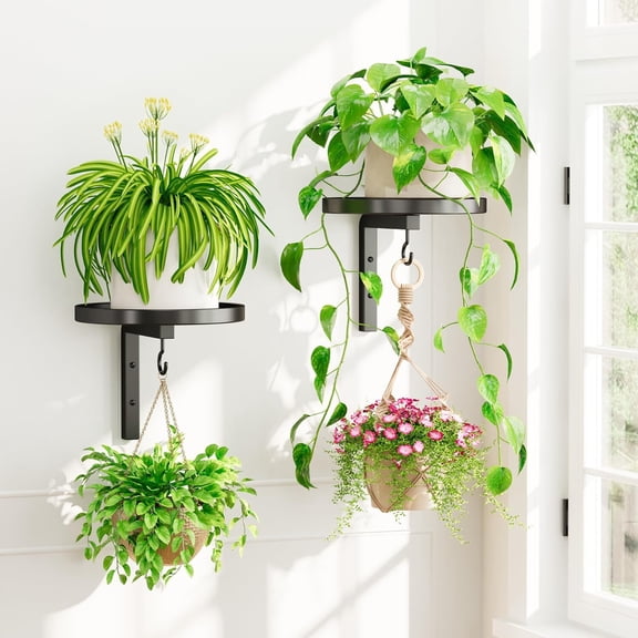 2 Pack Wall Plant Holder, Metal Hanger with 2 Hooks, Floating Flower Display Stand for Window, Space Saving & Easy to Assemble (Pots/Chains/Plants Not Included) Black