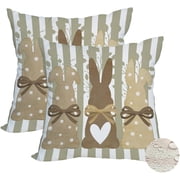2 Pack Waterproof Easter Pillow Covers 20x20 Inch Rabbit Bunny Brown Stripes Throw Pillow Cases Easter Spring Holiday Farmhouse Decorations Double Sided Cushion Cover for Sofa Couch