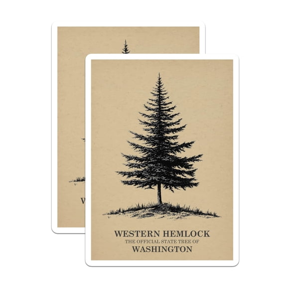 (2 Pack) Western Hemlock Magnets - Washington State Tree - Botanical Forest Decor - 5 Inches On Longest Side - Thick Durable Magnet - Made in USA - MAG19338