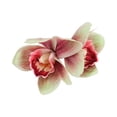 thumbnail image 1 of 2 Pack Women's Floral Hair Clips, Artificial Cymbidium Orchid Flowers, Lightweight Fabric Barrettes for Wedding Bridal Beach Holiday Accessories, 1 of 4