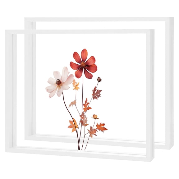 2-Pack Wooden Pressed Flower Frame, 10 x 12 Inch Double Acrylic Floating Picture Frame for Dried Flowers/Tabletop/DIY/Handicrafts [White]