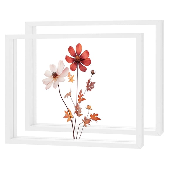 2-Pack Wooden Pressed Flower Frame, 8 x 10 Inch Double Acrylic Floating Picture Frame for Dried Flowers/Tabletop/DIY/Handicrafts [White]