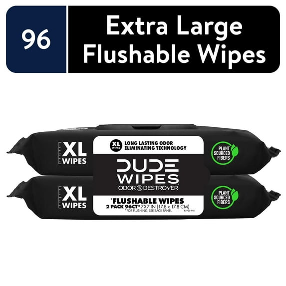 (2 Pack of 2 Count) DUDE Wipes Odor Destroyer Flushable Wipes, XL Wet Wipes, Deodorizing with Clean Scent, 48 Count