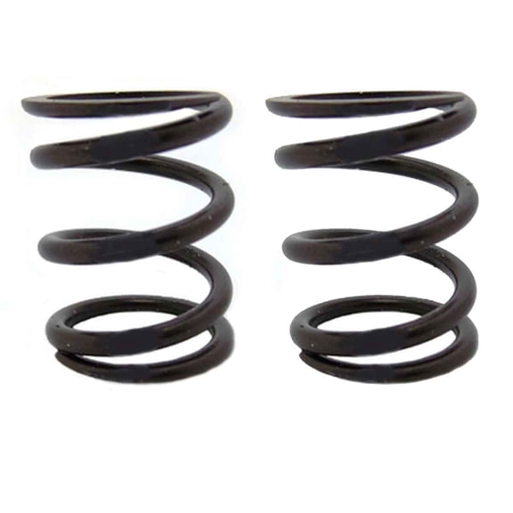 (2) Pack of 22Lb Valve Springs