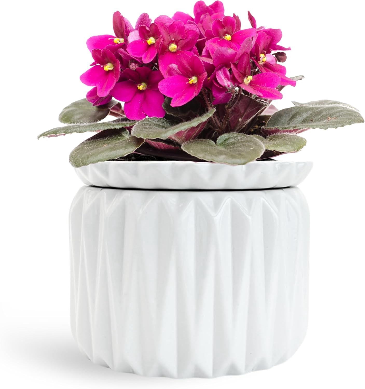 2 Pack of 6 inch Self Watering Pot for Indoor Plants, African Violet ...