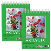 U.S. Art Supply 2 Pack of 9" x 12" Premium Extra Heavy-Weight Acrylic Painting Paper Pad, 246lbs 12-Sheets