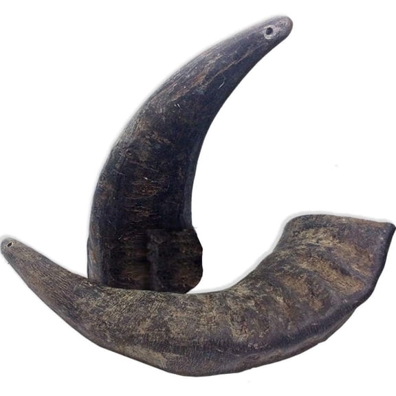 2 Pack of Buffalo Hornz Medium Long Lasting 100% Natural Water Buffalo Horn Dog Chews