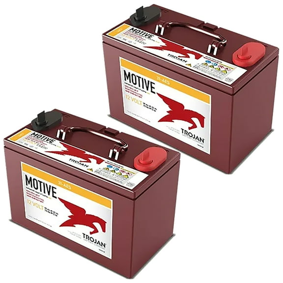 2 Pack of Trojan 31-AES-DC 12V Superior Deep Cycling VRLA AGM Batteries