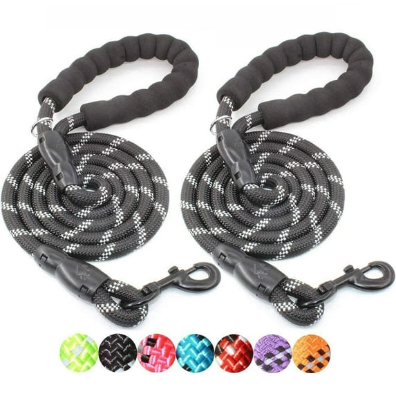 2 Packs 5 FT Strong Dog Leash with Comfortable Padded Handle and Highly Reflective Threads Dog Leashes for Small Medium and Large Dogs - Black + Black