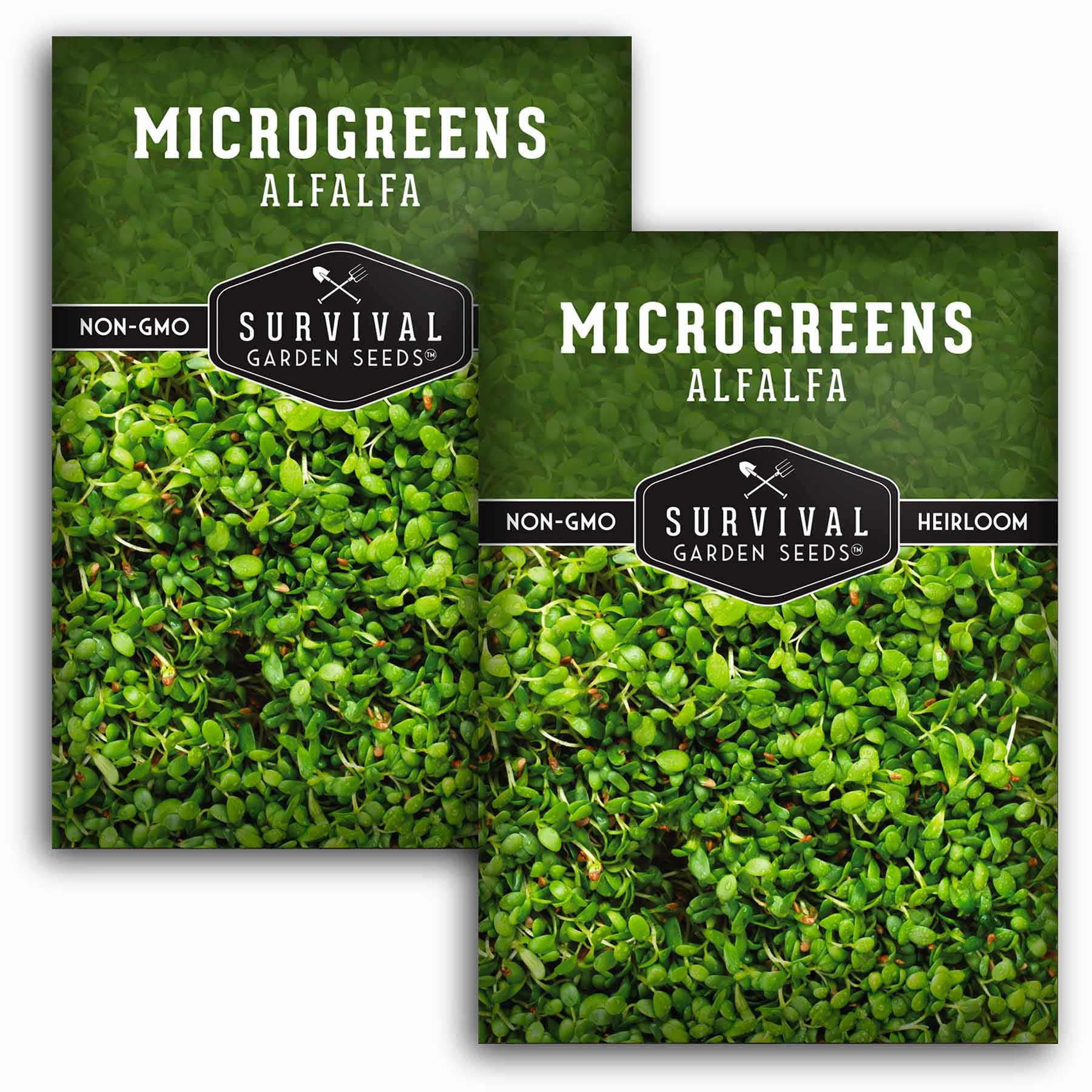2 Packs Alfalfa Microgreens Seeds for Sprouting - Non-GM
O Heirloom