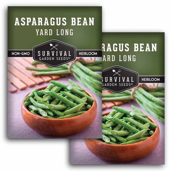 Asparagus Yard Long Pole Bean Seeds - Heirloom Annual Full Sun Vegetable - 2 Packs