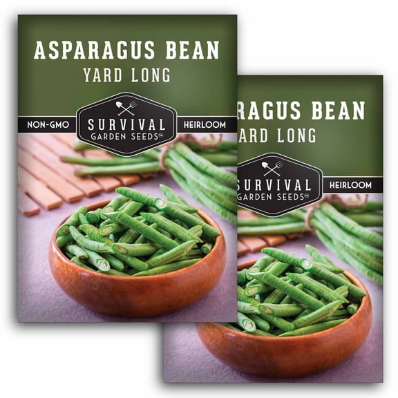 2 Packs Asparagus Yard Long Bean Seeds - Non-GMO Heirloom Annual Full Sun