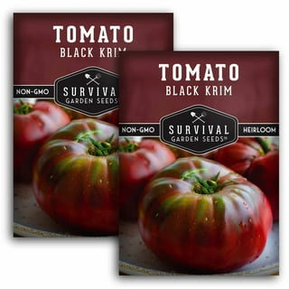 Beefsteak Tomato Seeds - Non GMO Heirloom Varieties for your Home Vegetable  Garden - 2 Pack