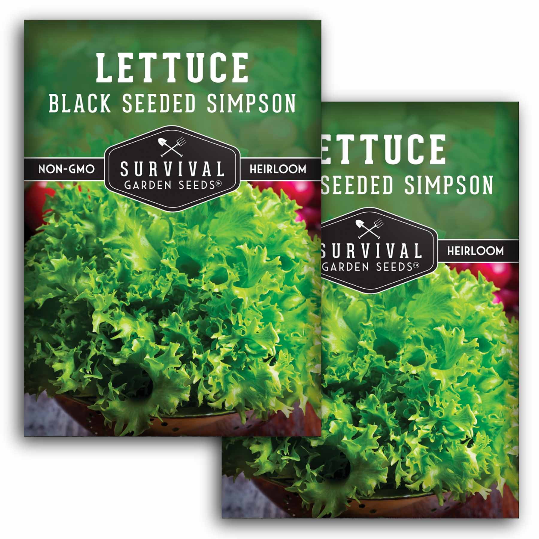 2 Packs Black Seeded Simpson Lettuce Seed Salad Greens NonGMO