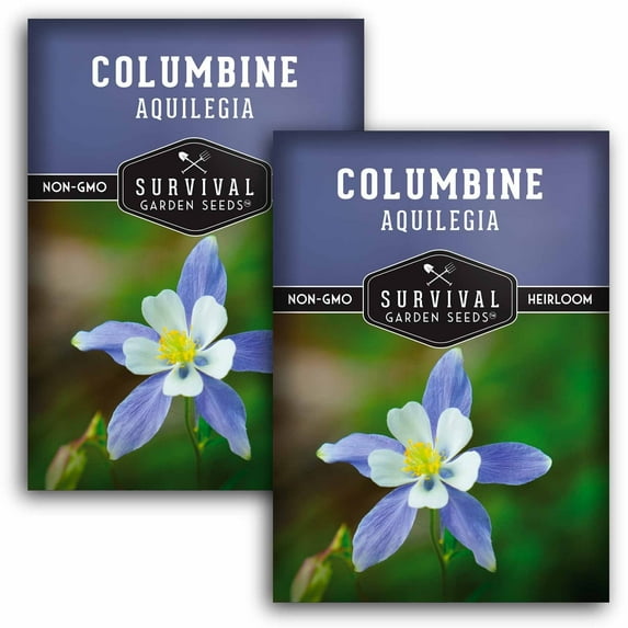 2 Packs Blue Columbine Flower Seeds - Aquilegia - Heirloom Perennial Full Sun