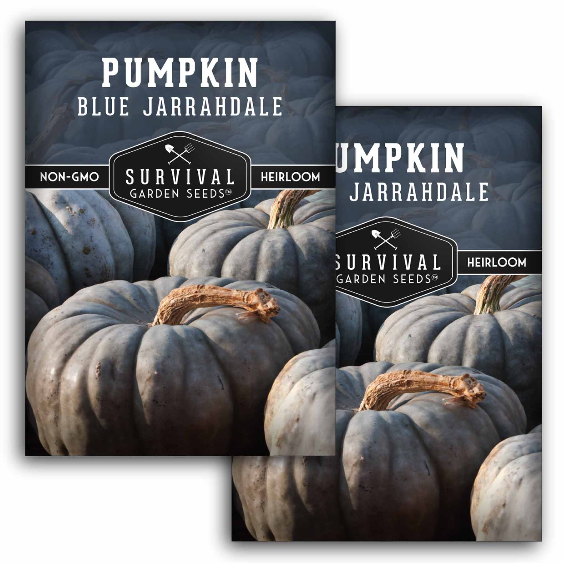 Brim Seed Co. Pumpkin, Big Max Heirloom, Seed - Azure Standard