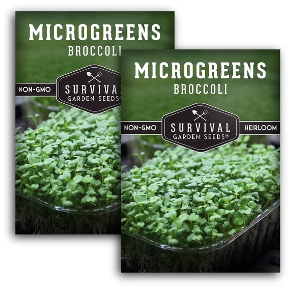 Broccoli Microgreens Sprouting Seeds - Partial Sun Annual Vegetable - 2 Packs