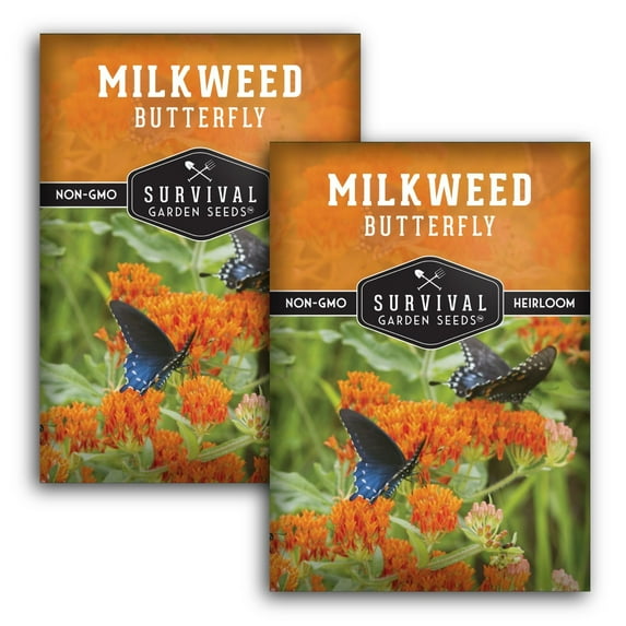 2 Packs Butterfly Milkweed Seed - Non-GMO Heirloom Full Sun Perennial Flower