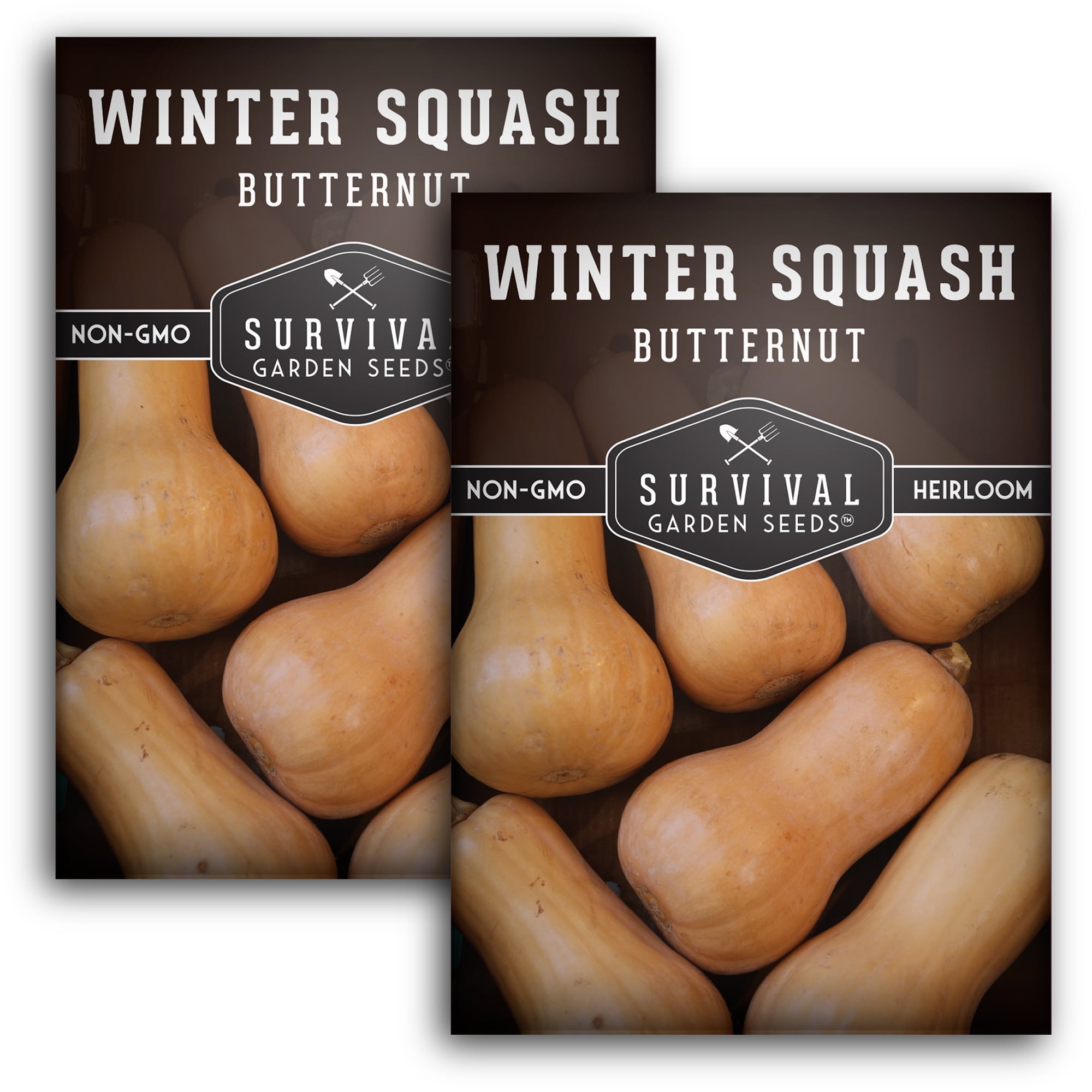 2 Packs Butternut Winter Squash NonGMO Heirloom Seed Full Sun Annual Vegetable