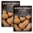 thumbnail image 1 of 2 Packs Butternut Winter Squash - Non-GMO Heirloom Seed - Full Sun Annual Vegetable, 1 of 6