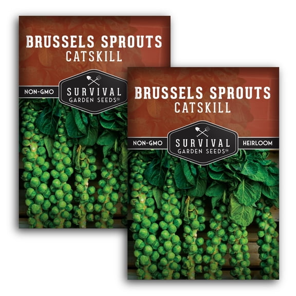 2 Packs Catskill Brussels Sprouts Seeds - Non-GMO Heirloom Full Sun Biennial Vegetable