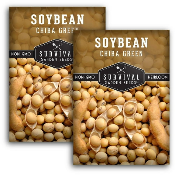 2 Packs Chiba Green Soybean Seeds - Non-GMO Heirloom Full Sun Annual Vegetable