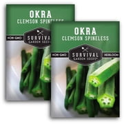 Clemson Spineless Okra Seeds - Full Sun Annual Vegetable - 2 Packs