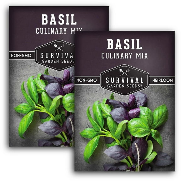 2 Packs Culinary Basil Seeds Mix - Non-GMO Heirloom Herb - Full Sun Annual