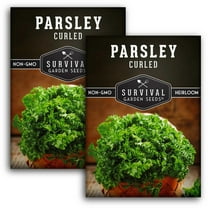 2 Packs Curled Parsley Seeds - Non-GMO Heirloom Full Sun Biennial Herb