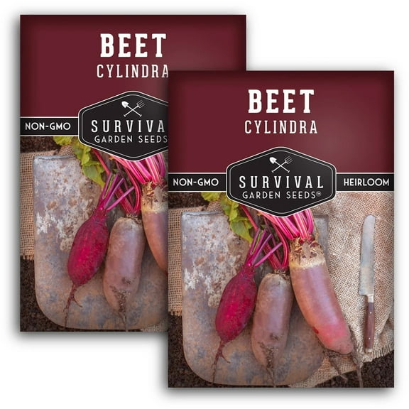 2 Packs Cylindra Red Beet Seeds - Non-GMO Heirloom Full Sun Biennial Vegetable