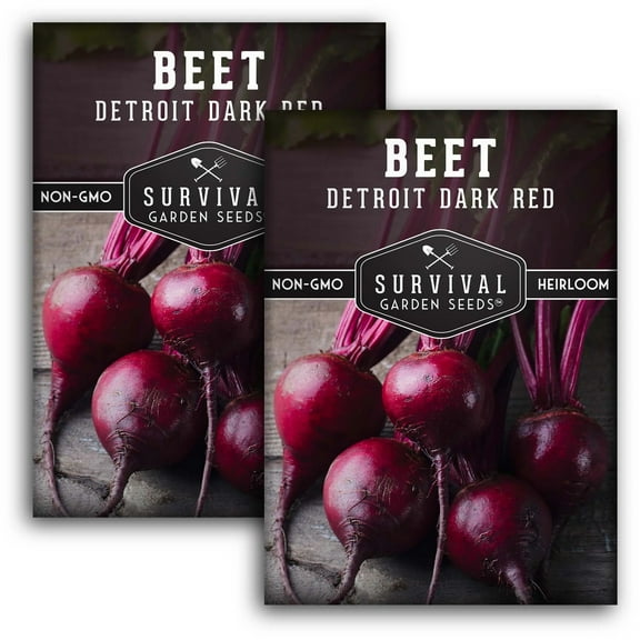 2 Packs Detroit Dark Red Beet Seeds - Non-GMO Heirloom Full Sun Biennial Vegetable