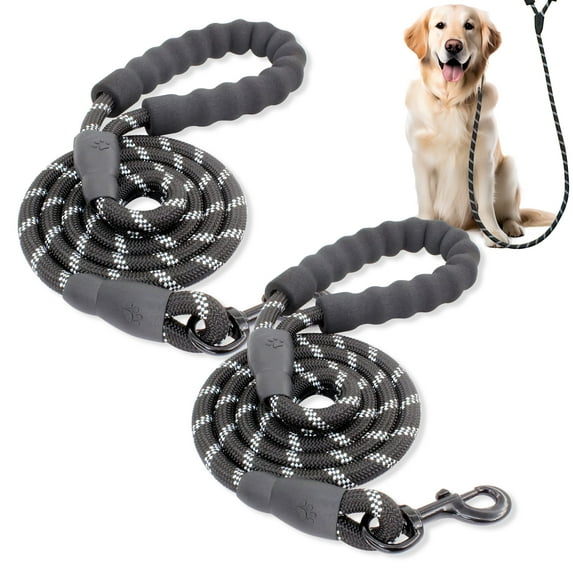 2 Packs Dog Leash, Heavy Duty Nylon Braided Rope Dog Leash, Comfortable Padded Handle Strong Leashes for Large, Medium and Small Dogs