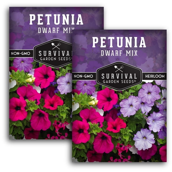 Dwarf Petunia Seed Mix - Heirloom Full Sun Annual Flower - 2 Packs