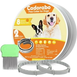 Flea collar for dogs walmart 2025