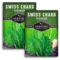 thumbnail image 1 of 2 Packs Fordhook Swiss Chard Seeds - Non-GMO Heirloom Full Sun Annual Vegetable, 1 of 6