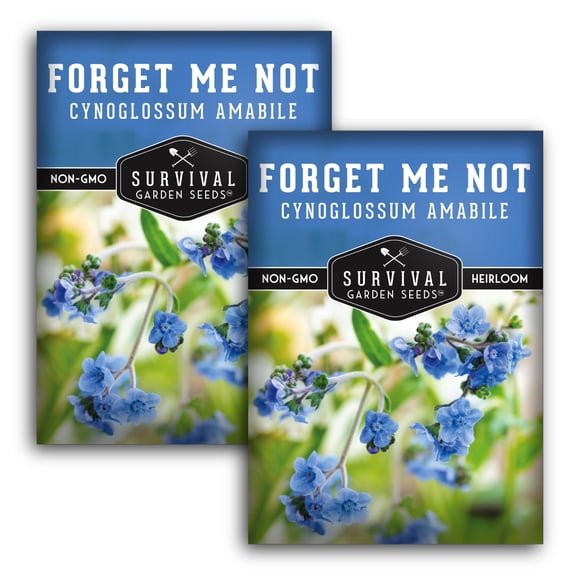 Forget-Me-Not Seeds - Heirloom Full Sun Annual Flower - 2 Packs