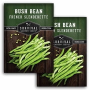French Slenderette Bean Seeds - Annual Full Sun Vegetable 2 Pack