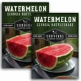 thumbnail image 1 of 2 Packs Georgia Rattlesnake Watermelon Seeds - Non-GMO Heirloom Full Sun Annual Fruit, 1 of 6