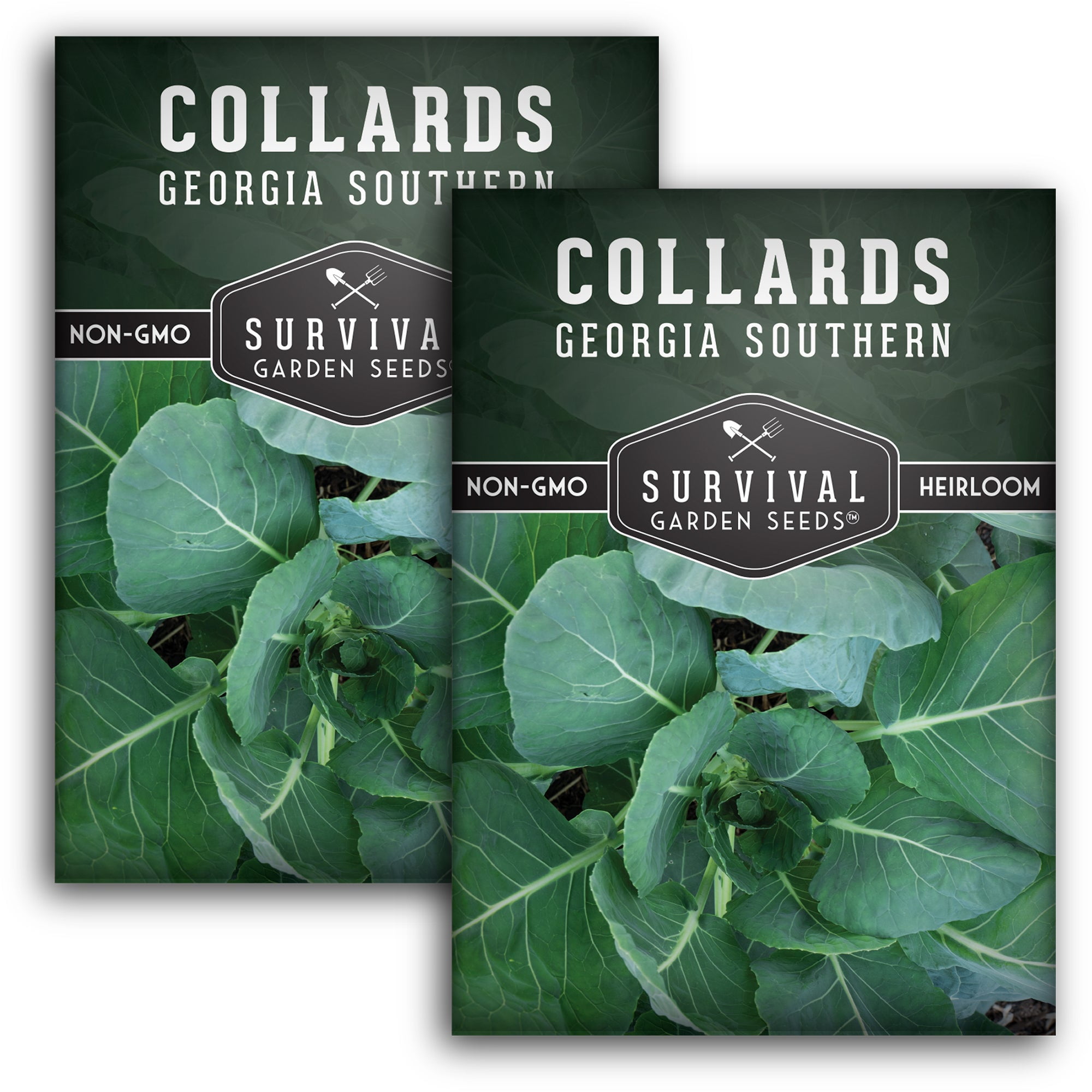 2 Packs Southern Collard Greens Seed NonGMO Heirloom Full