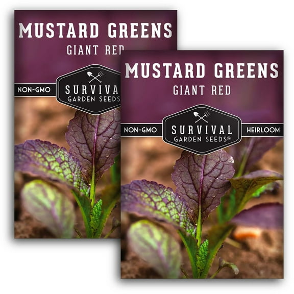2 Packs Giant Red Mustard Greens Seeds - Non-GMO Heirloom Full Sun Biennial Vegetable