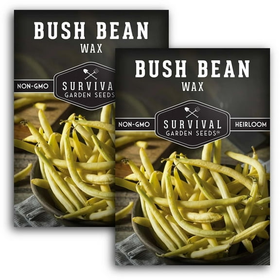 2 Packs Golden Wax Bush Bean Seeds - Non-GMO Heirloom Vegetable - Full Sun Annual