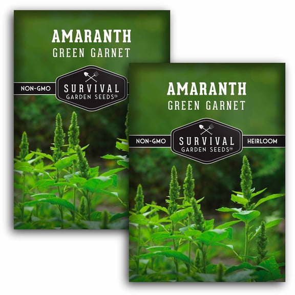 2 Packs Green Garnet Amaranth Seeds - Mexican Grain Amaranth - Non-GMO Heirloom Annual Full Sun