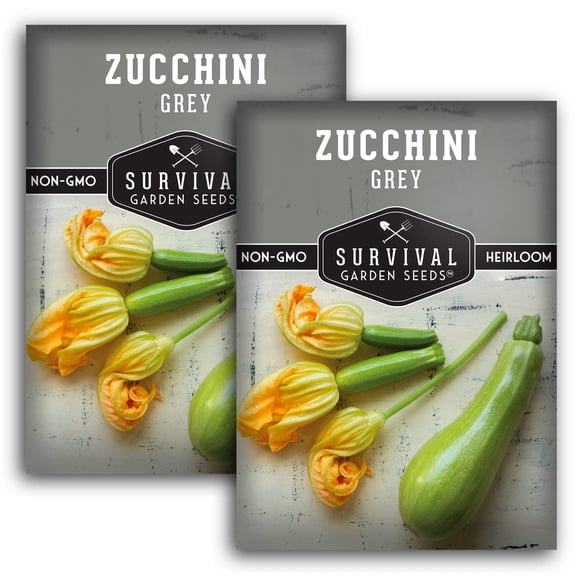 Grey Zucchini Seeds - Full Sun Annual Vegetable - 2 Packs