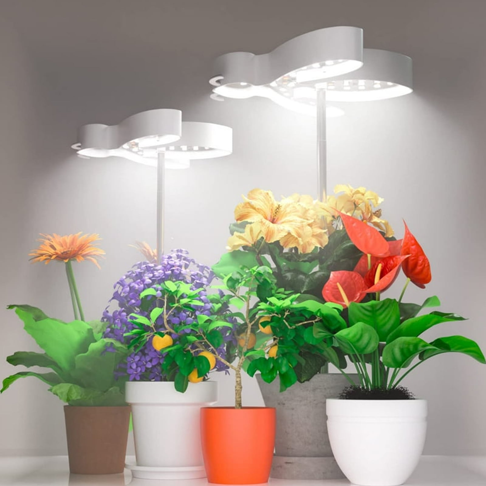 2 Packs Grow Light, Full Spectrum LED Plant Light for Indoor Plants ...