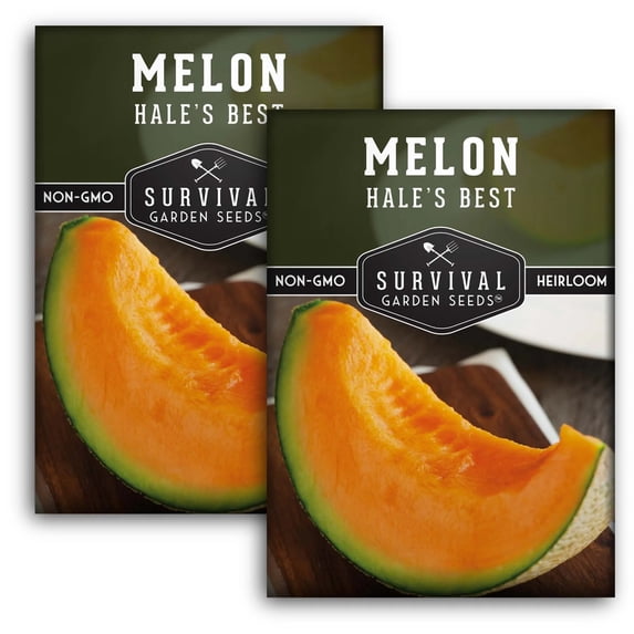 2 Packs Hale's Best Melon Seeds - Non-GMO Heirloom Full Sun Annual Vegetable