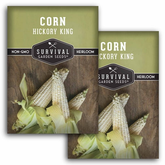 2 Packs Hickory King Corn Seeds - White Field or Dent Corn - Non-GMO Heirloom Annual Full Sun