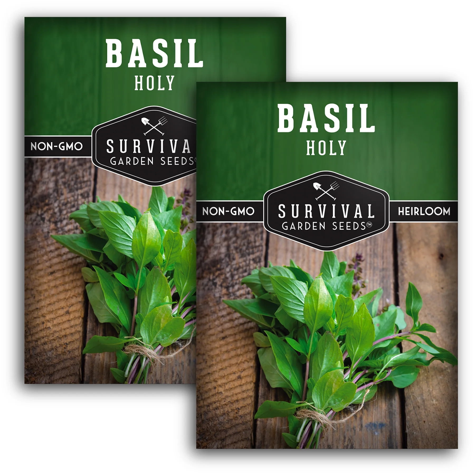 2 Packs Holy Basil Seeds - Non-GMO Heirloom Full Sun Annual Herb ...